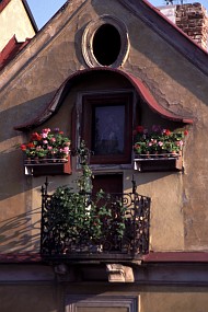 鉢植えの飾られた窓